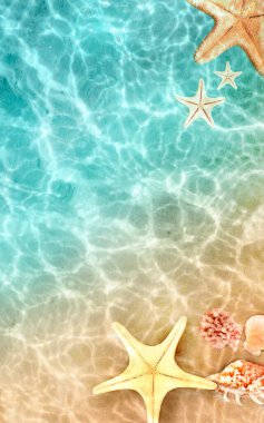 Deniz yıldızı ve deniz kabukları yaz sahillerinde deniz suyunda. Yazın mavi okyanus arka planı. Yaz zamanı..