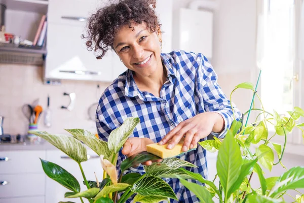 Black woman successful green thumb taking care of home plants cleaning leaves