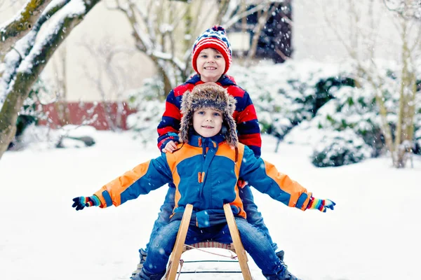 两个小男孩在雪地里玩雪橇游戏 孩子们在雪地上滑行 兄弟姐妹们骑着雪橇 双胞胎在户外玩耍 朋友们在雪地的冬季公园里滑雪橇 家庭假期的积极乐趣 — 图库照片