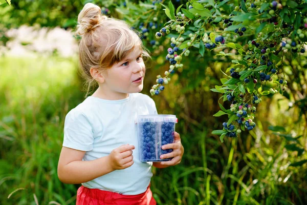 学龄前小女孩在蓝莓地里采摘新鲜的浆果 孩子们在有机果园里采摘蓝莓 Toddler农场 幼儿园园艺师夏天的家庭乐趣 健康的生物食品 — 图库照片