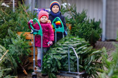 İki küçük kardeş kız ve çocuk Noel ağacını markette tutuyorlar. Kışın moda kıyafetleri içinde mutlu çocuklar açık hava dükkanından Noel ağacı seçip alıyorlar. Aile, gelenek, kutlama.