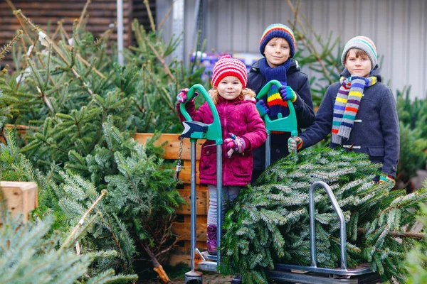 Tres Hermanos Pequeños Niña Dos Niños Sosteniendo Árbol Navidad Mercado —  Fotos de Stock