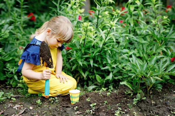Kleine Vorschulmädchen Pflanzen Sämlinge Von Sonnenblumen Heimischen Garten Kleinkinder Lernen — Stockfoto