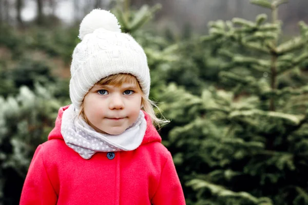 可爱的小女孩 在冷杉人工林上挂着圣诞树 快乐的孩子穿上冬季时尚服饰 在森林里选择 砍伐和砍伐自己的圣诞树 是德国的家族传统 — 图库照片