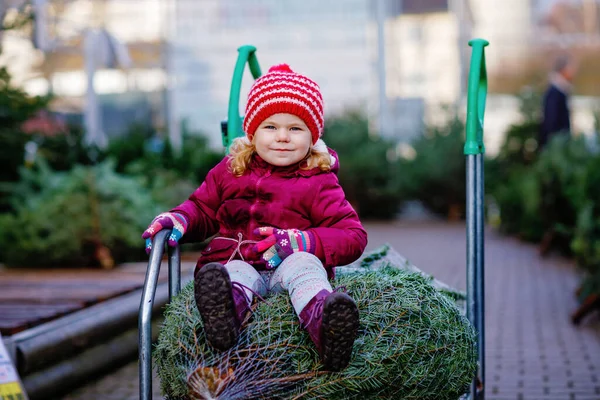 Entzückende Kleine Mädchen Mit Weihnachtsbaum Auf Einkaufswagen Oder Einkaufswagen Auf — Stockfoto