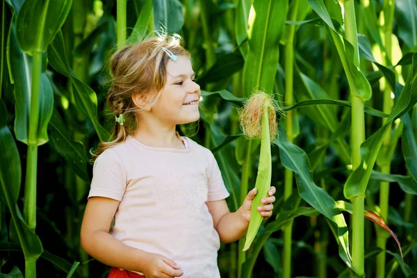 Happy Little Toddler Girl Playing Corn Labyrinth Field Organic Farm — Stock Photo, Image