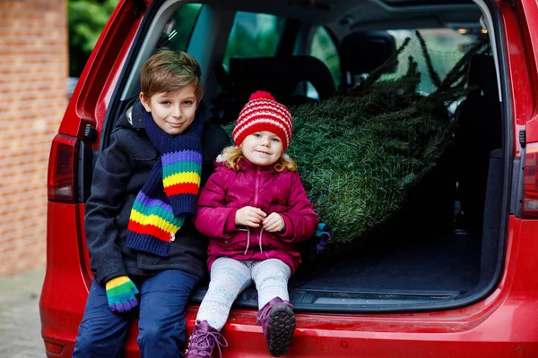 Imádnivaló Kislány Iskolás Fiú Karácsonyfával Családi Autóban Boldog Egészséges Gyerekek — Stock Fotó