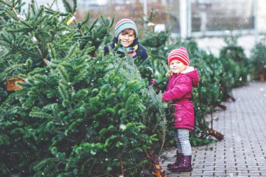 İki küçük kardeş kız ve çocuk Noel ağacını markette tutuyorlar. Kışın moda kıyafetleri içinde mutlu çocuklar açık hava dükkanından Noel ağacı seçip alıyorlar. Aile, gelenek, kutlama.