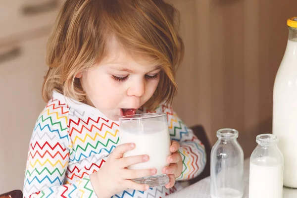 Αξιολάτρευτο Κοριτσάκι Που Πίνει Αγελαδινό Γάλα Για Πρωινό Χαριτωμένη Κορούλα — Φωτογραφία Αρχείου