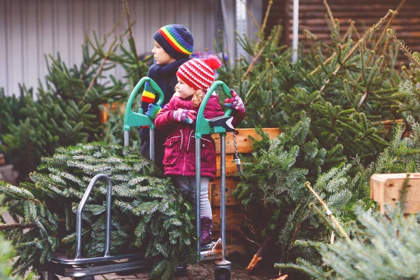 Two Little Siblings Toddler Girl Kid Boy Holding Christmas Tree — Stock Photo, Image