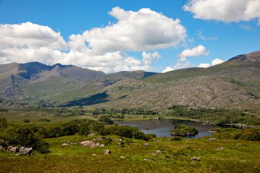 İrlanda 'daki Killarney Ulusal Parkı' nın manzarası. Ünlü Bayan Manzarası, Kerry Halkası, İrlanda 'nın en iyi panoramalarından biri.