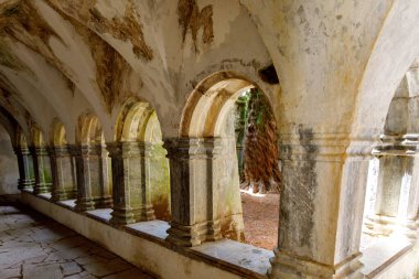 Muckross Abbey and Cemetery in Killarney National Park, Ireland, Ring of Kerry