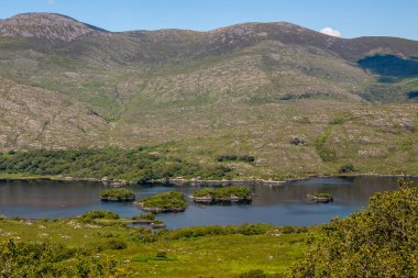 İrlanda 'daki Killarney Ulusal Parkı' nın manzarası. Ünlü Bayan Manzarası, Kerry Halkası, İrlanda 'nın en iyi panoramalarından biri.