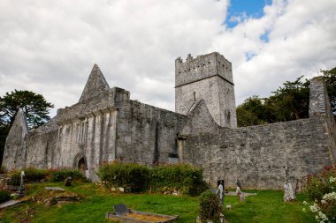 Muckross Abbey and Cemetery in Killarney National Park, Ireland, Ring of Kerry