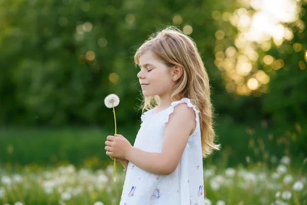 Sevimli Küçük Anaokulu Kızı Yazın Doğada Karahindiba Çiçeğine Üflüyor Gülle — Stok fotoğraf