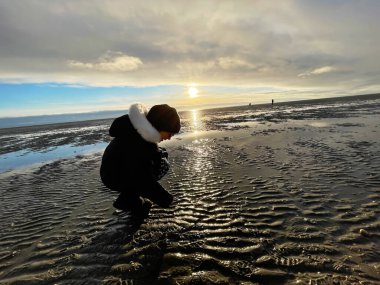 Cheerful little girl walking and searching shells on beach of North Sea during low tide on cold but sunny spring day