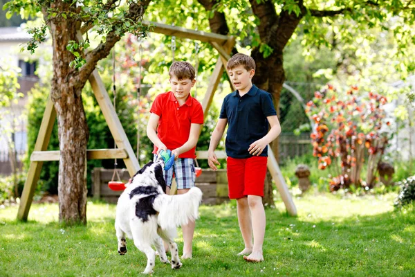 Deux Enfants Garçons Jouant Avec Chien Famille Dans Jardin Des — Photo