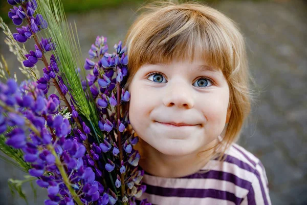 Nettes Entzückendes Kleines Mädchen Mit Riesigem Strauß Blühender Violetter Lupniesblüten — Stockfoto