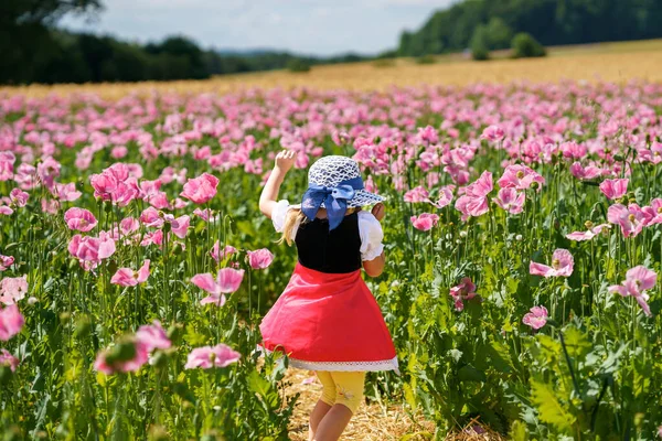 Little Preschool Girl Poppy Field Cute Happy Child Red Riding — ストック写真