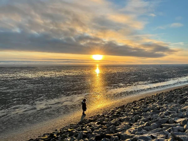 Niña Alegre Caminando Buscando Conchas Playa Del Mar Del Norte —  Fotos de Stock