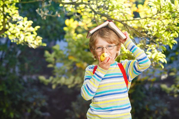 Happy Little Preschool Kid Boy Glasses Books Apple Backpack His — Stock Photo, Image