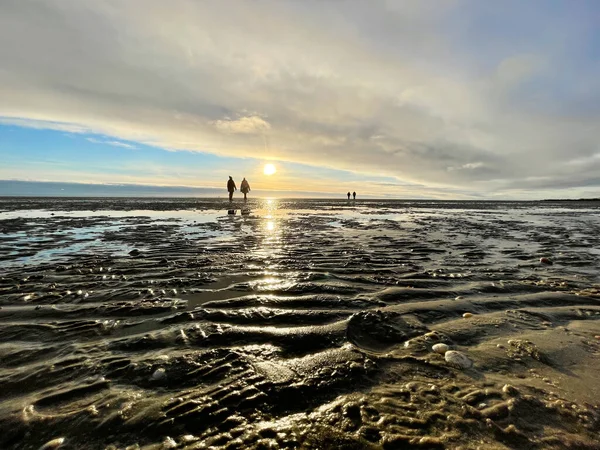 Θαλασσινά Κοχύλια Θαλάσσια Κύματα Στη Χρυσή Άμμο Στην Παραλία Ηλιοβασίλεμα — Φωτογραφία Αρχείου