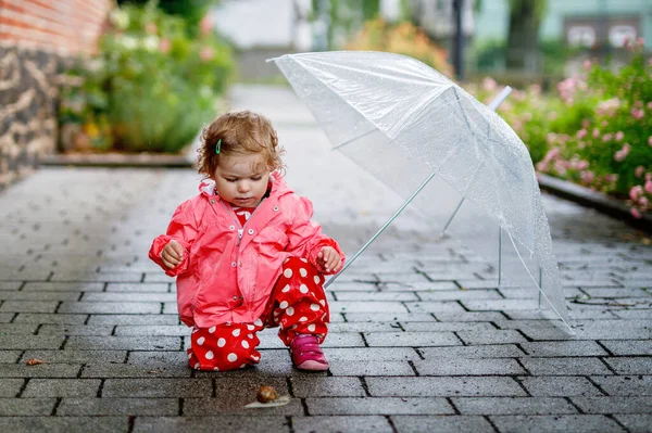 Şirin Bebek Kız Keşfetmek Salyangoz Bir Yürüyüş Yağmurlu Günde Eğleniyor — Stok fotoğraf