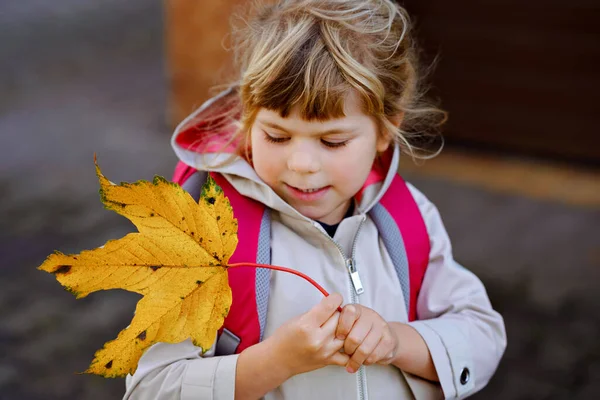 Søt Liten Småbarnsjente Sin Første Dag Barneskolen Frisk Lykkelig Barn – stockfoto