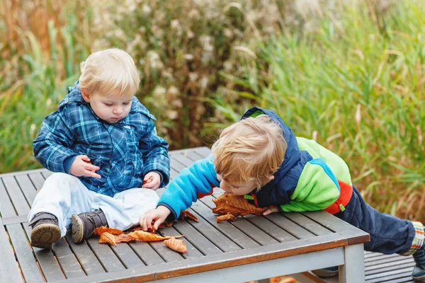 2人の男の子が屋外でカエデの葉で遊んでいます 秋の公園で幸せな子供たちの兄弟 幼児の双子は流行のジャケットを身に着けている ブロンドの男の子の肖像画笑顔 秋のファッション 外のおしゃれな子供 — ストック写真