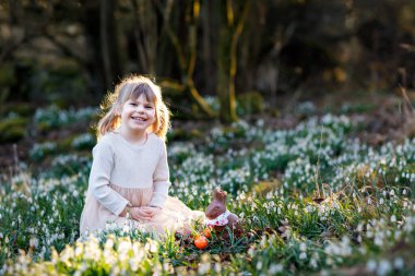 Güneşli bir günde, açık havada bahar ormanlarında Paskalya yumurtası avına çıkan küçük kız. Bir sürü kartopu çiçeği ve renkli yumurtası olan sevimli, mutlu bir çocuk. İlkbahar, Hıristiyan bayramı konsepti