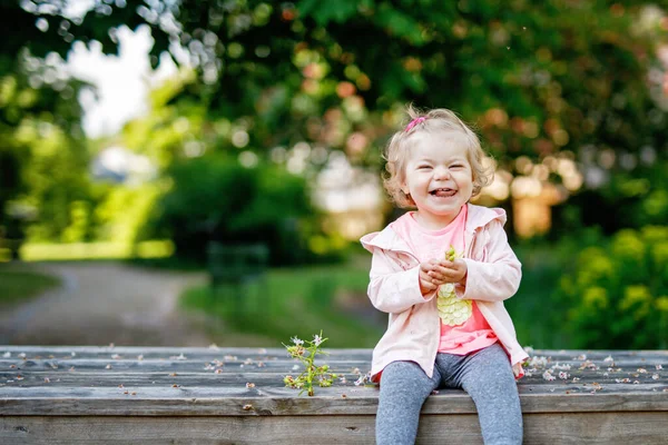 Roztomilý Rozkošný Batole Dívka Hraje Květy Kvetoucí Kaštany Malé Dítě — Stock fotografie