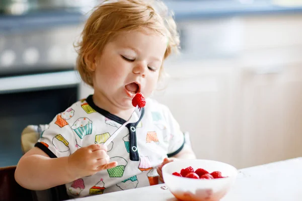 Adorable baby girl eating from spoon fresh healthy raspberries food, child, feeding and development concept. Cute toddler, daughter with spoon sitting in highchair and learning to eat by itself
