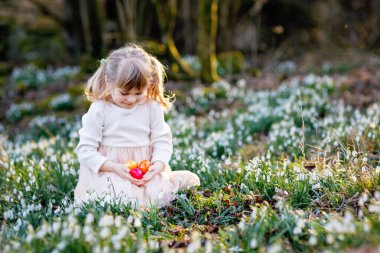 Güneşli bir günde, açık havada bahar ormanlarında Paskalya yumurtası avına çıkan küçük kız. Bir sürü kartopu çiçeği ve renkli yumurtası olan sevimli, mutlu bir çocuk. İlkbahar, Hıristiyan bayramı konsepti