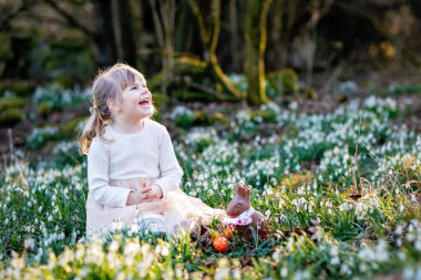 Güneşli bir günde, açık havada bahar ormanlarında Paskalya yumurtası avına çıkan küçük kız. Bir sürü kartopu çiçeği ve renkli yumurtası olan sevimli, mutlu bir çocuk. İlkbahar, Hıristiyan bayramı konsepti