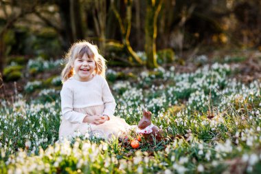 Güneşli bir günde, açık havada bahar ormanlarında Paskalya yumurtası avına çıkan küçük kız. Bir sürü kartopu çiçeği ve renkli yumurtası olan sevimli, mutlu bir çocuk. İlkbahar, Hıristiyan bayramı konsepti