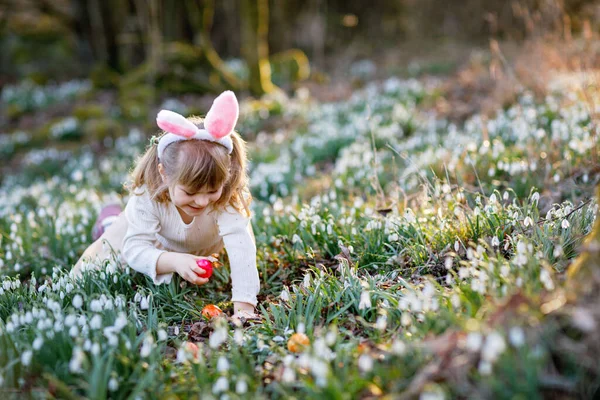 在阳光明媚的天气里 一个小女孩在春天的森林里打猎复活节彩蛋 可爱快乐的孩子 有许多雪花和彩蛋 基督教节日的概念 — 图库照片