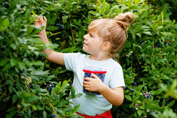 Pequena Menina Pré Escolar Colhendo Frutas Frescas Campo Mirtilo Criança — Fotografia de Stock