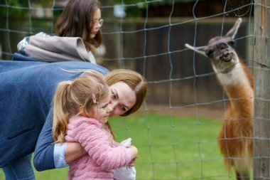 İki küçük kız ve kadın tüylü alpakaları besliyor. Mutlu heyecanlı çocuklar ve anneler vahşi yaşam parkında guanaco besliyor. Tatil ya da hafta sonu için aile eğlencesi ve etkinliği.