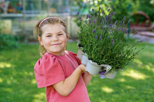 Gelukkig Klein Meisje Met Een Lavendel Zaailingen Klaar Worden Geplant — Stockfoto