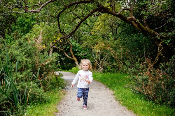 在爱尔兰的康涅马拉国家公园里 一个可爱的蹒跚学步的小女孩在大自然的小路上奔跑 笑着和笑着的小孩在大自然中度过家庭假期很开心 带着小孩旅行 — 图库照片