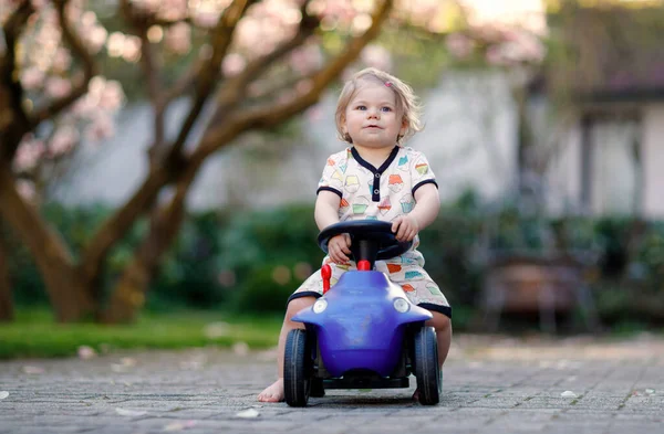 可爱的小女孩玩蓝色的小玩具车在花园的家庭或托儿所 可爱的美丽的幼儿与盛开的木兰在背景 户外活动儿童游戏 — 图库照片