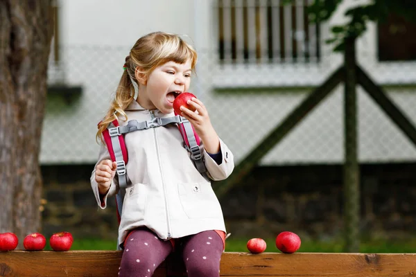 Little Cute Girl Eat Red Ripe Apple Happy Smiling Preschool — Stock Photo, Image