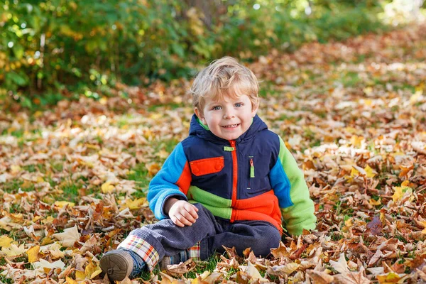 可爱的小男孩在外面玩枫叶 快乐的孩子在秋天的公园里散步 蹒跚学步的小男孩穿着时髦的夹克 微笑的金发男孩肖像画 秋天的时尚 外面是时髦的孩子 — 图库照片