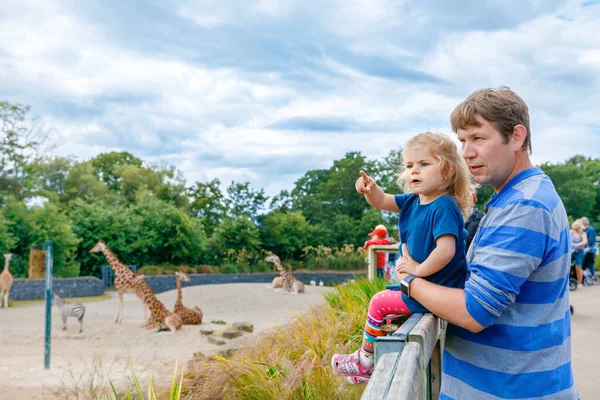 かわいいかわいい幼児の女の子と父親は動物園でキリンを見て食べます 幸せな赤ちゃんの子供 娘とお父さん 暖かい夏の日に動物サファリパークと一緒に楽しんでいる家族 アイルランド — ストック写真