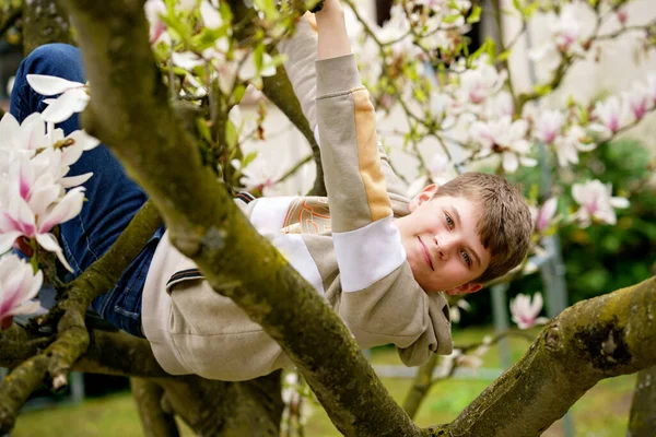 Szczęśliwy Uroczy Nastolatek Chłopiec Wspinaczka Kwiat Magnolia Drzewo Nastoletnie Dziecko — Zdjęcie stockowe