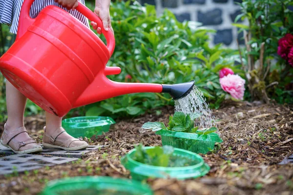 Child Watering Seedlings Flowers Watering Can Garden Girl Having Good — Stock Photo, Image