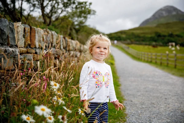 アイルランドのConnemara国立公園で自然の道を走っているかわいい幸せな幼児の女の子 笑顔で笑っている赤ちゃんは 自然の中で家族の休暇を楽しんでいます 小さな子供と一緒に旅行する — ストック写真