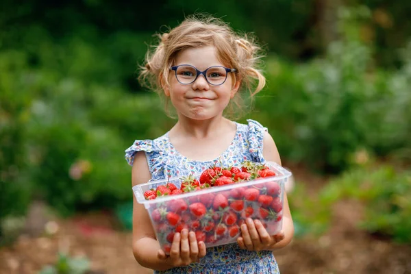 夏に有機ベリーファームからの健康イチゴと幸せな就学前の女の子は 晴れた日に箱を保持しています 笑顔の子供 新鮮な熟した赤い果実を持つ子供はイチゴを食べる — ストック写真