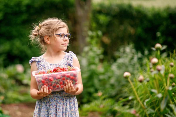 Happy Preschool Girl Holding Box Healthy Strawberries Organic Berry Farm — Stock Photo, Image