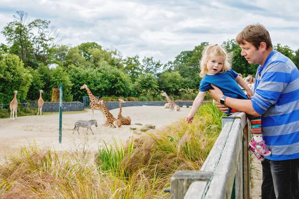 Cute Adorable Toddler Girl Father Watching Feeding Giraffe Zoo Happy — Stock Photo, Image